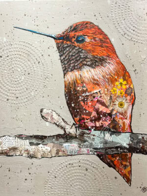 « Ailes de velours »